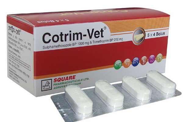 Picture of Cotrim-Vet Bolus 20's SQ