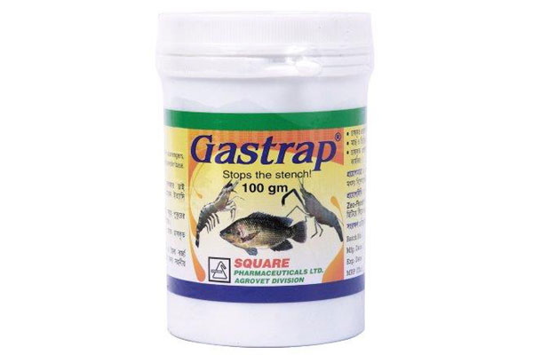 Picture of Gastrap Powder 100 g