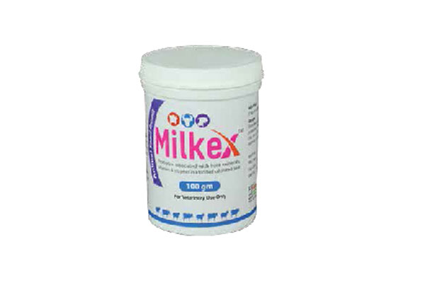Picture of Milkex Powder 100 g