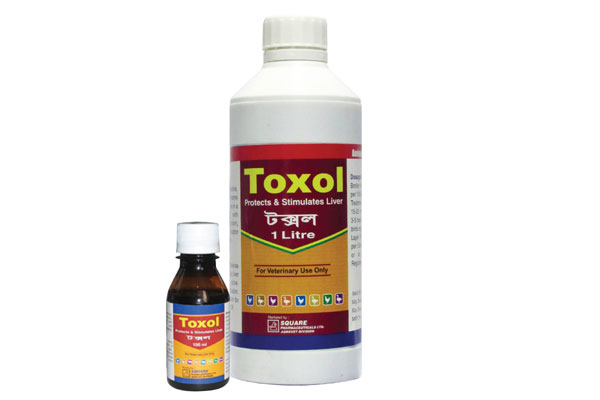 Picture of Toxol Liquid 1 L