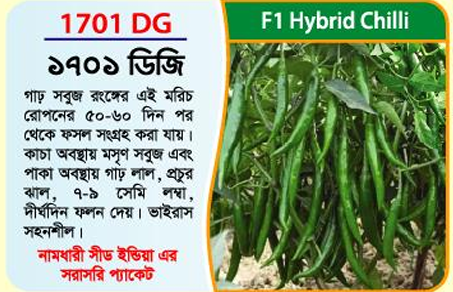 Picture of 1701 DG Hybrid Chilli Seeds 10g