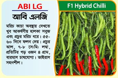 Picture of AB-1 LG Hybrid Chilli Seeds 5g - 1kg