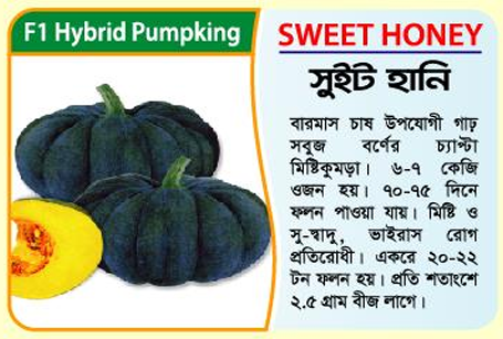 Picture of Sweet Honey Hybrid Pumpkin Seeds 5g