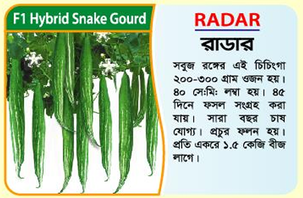 Picture of RADAR Hybrid Snake Gourd Seeds 10g