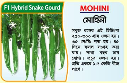Picture of MOHINI Hybrid Snake Gourd Seeds 10 gm