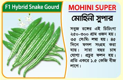 Picture of MOHINI SUPER Hybrid Snake Gourd Seeds 10 gm