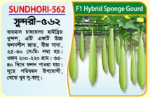 SUNDHORI-562 Hybrid Sponge Gourd Seeds 5 gm