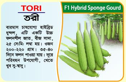 Picture of Tori Hybrid Sponge Gourd Seed 5 gm