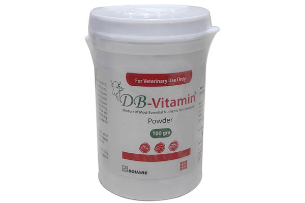 Picture of DB-Vitamin Powder 100 g
