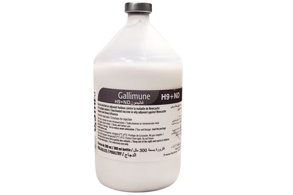 Picture of Gallimune H9+ND 300 ml
