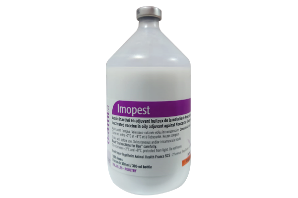 Picture of Imopest 1X1000 DS 300 mL