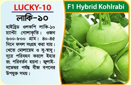 Picture of Lucky-10 Hybrid Kohlrabi Seed (10 gm) - 1kg