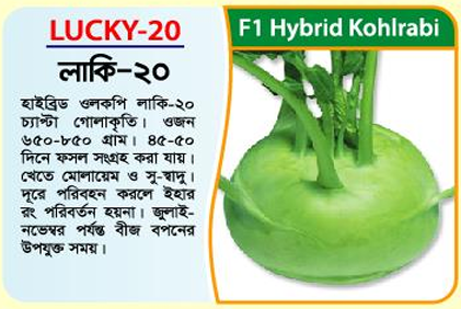 Picture of Lucky-20 Hybrid Kohlrabi Seed (10 gm) -1kg