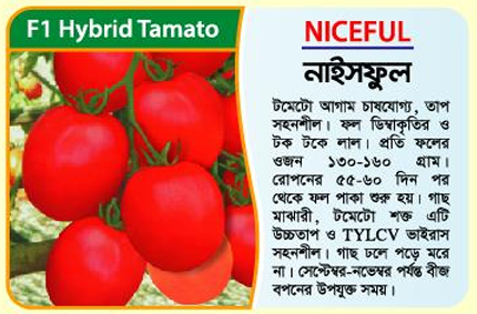 Picture of Niceful Hybrid Tomato Seed (5 gm) - 1kg
