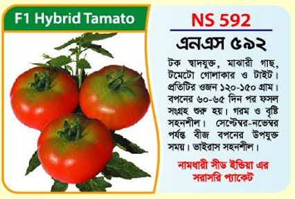 Picture of NS 592 Hybrid Tomato Seed (5 gm) - 1kg