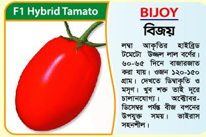 Picture of BIJOY Hybrid Tomato Seed (5 gm) - 1kg