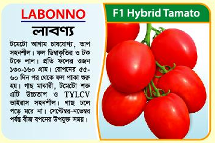 Picture of LABONNO Hybrid Tomato Seed 5 gm