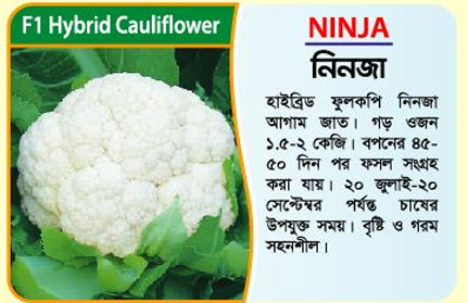 Picture of Ninja Hybrid Cauliflower Seed (10 gm) -1 kg