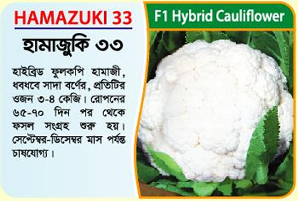Picture of Hamazuki 33 Hybrid Cauliflower Seeds 10 grams