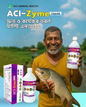 Picture of ACI-Zyme Liquid 500ml