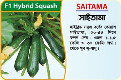 Picture of Saitama Hybrid Squash Seeds (5 grams) - 1 kg