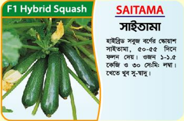 Picture of Saitama Hybrid Squash Seeds 10 gm