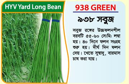 Picture of 938 Green High-Yielding Yard Long Bean Seeds (100 grams) -1kg