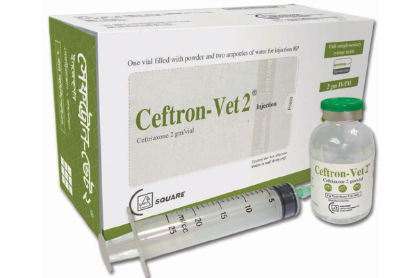 Picture of Ceftron-Vet Inj 2g