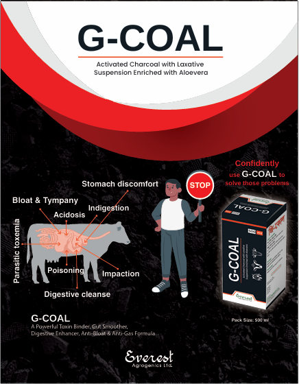 Picture of G-COAL 500 ml