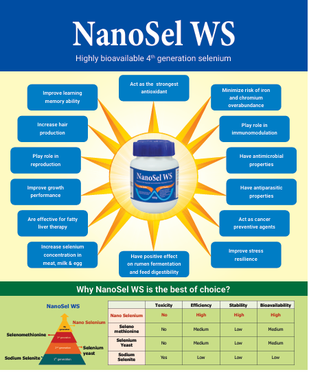 Picture of Nanosel WS 100g
