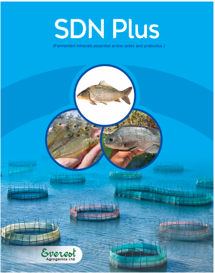 Picture of SDN PLUS Aqua 20 L