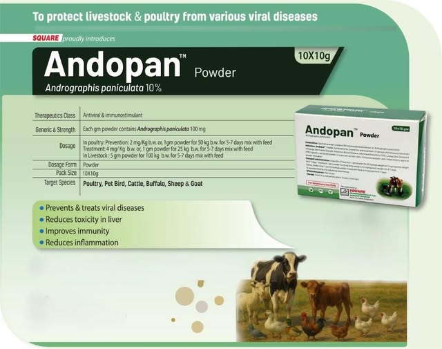 Picture of Andopan Powder 50 g