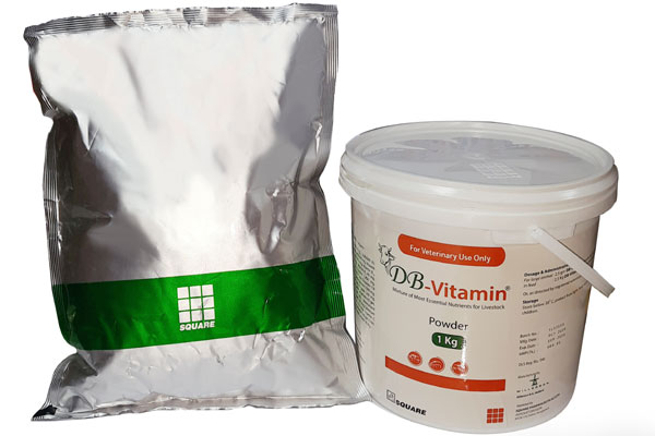 Picture of DB-Vitamin Powder 100 g