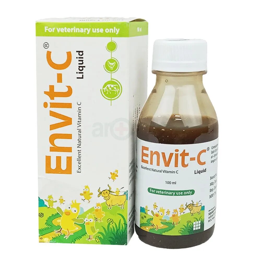 Picture of Envit-C Liquid 1 L