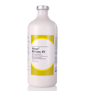 Picture of Volvac ND Conc. KV 500 ml