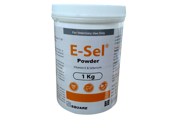 Picture of E-Sel Dry Powder 1 kg