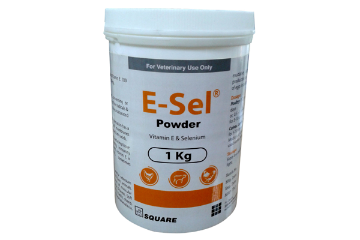 Picture of E-Sel Dry Powder 1 kg