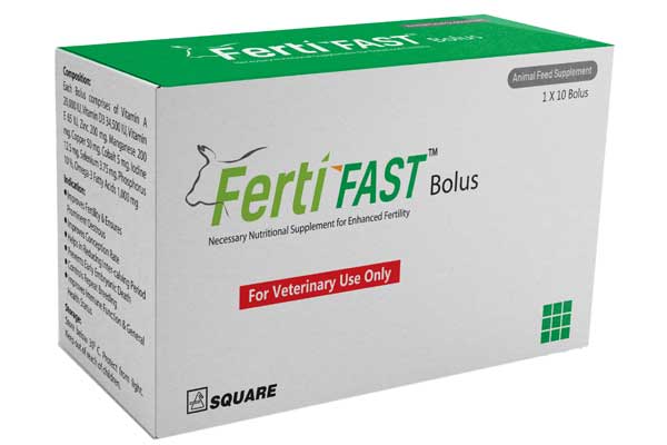 Picture of Fertifast Bolus 1X10's