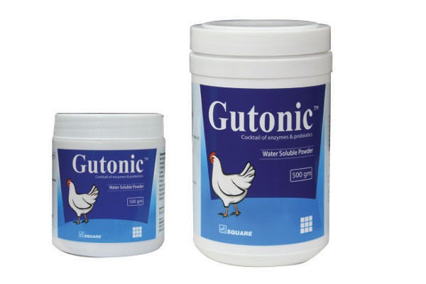 Picture of Gutonic Powder-100gm