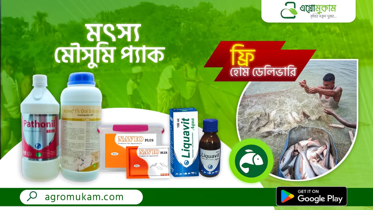 মৎস্য মৌসুমি প্যাক